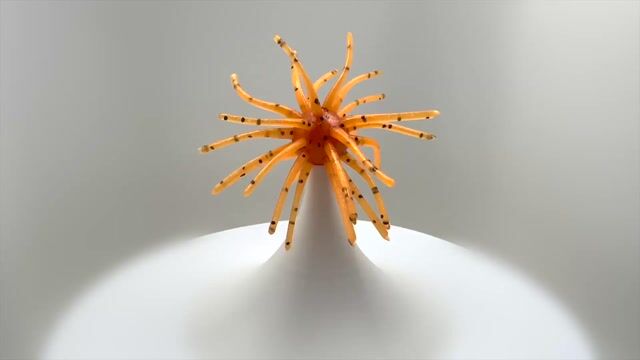 Hair Ball - Orange Mash video