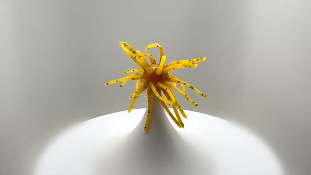 Hair Ball - Dijon Vomit video