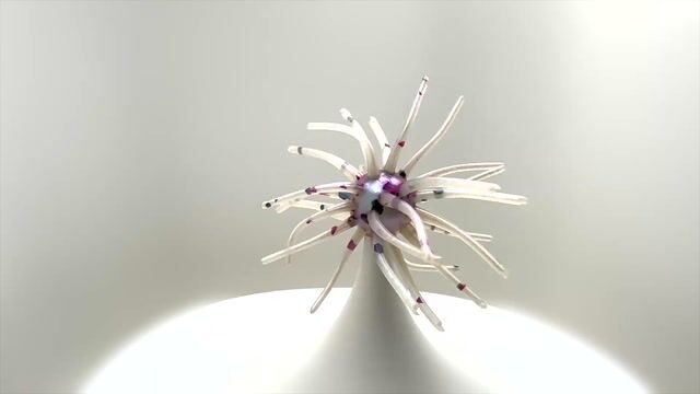 Hair Ball - Blue Charade: video